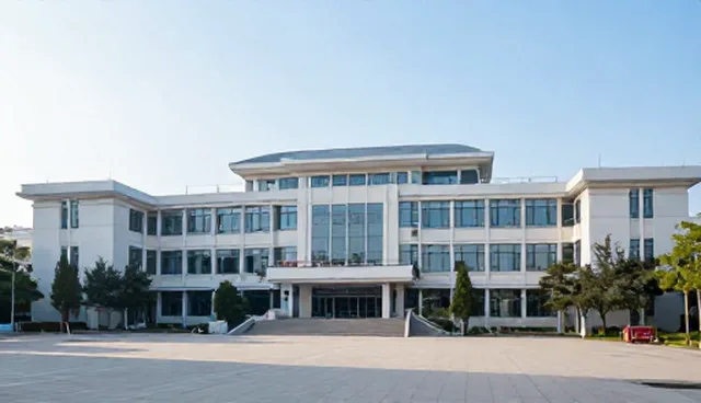 效率提升中技术应用的两种做法与取舍